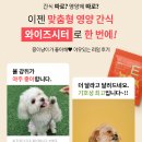 와이즈디자인