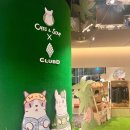 주식회사 오아시스 이미지