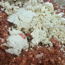 황금분식점 이미지