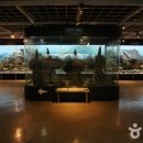 부산해양자연사박물관 이미지