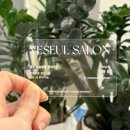 예슬쌀롱 | [광주 충장로 미용실] 염색 잘하는 곳, 웨딩헤어컬러 추천 - 예슬쌀롱 광주불로동점