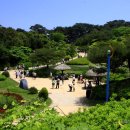 숲속에 바다 이미지