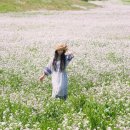성읍리-20 네이버블로그