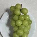 배내자연농원슈퍼 | 고당도 과일 시골집 농원 샤인머스켓