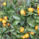 길나들이민박 이미지