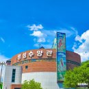 명성컴퍼니 네이버블로그