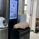 용북중학교(기숙사) 네이버블로그
