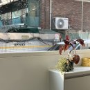 코스모(COSMO) 이미지