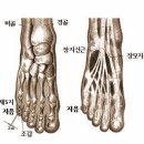 족소음신경과 족태양방광의 혈자리 이미지