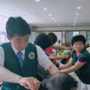 셀모가발 이미지
