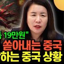 중국이 지구상 최강의 동물이 되어 있는 미국이란 T-Rex에 살아 남을 수 있을가? 이미지