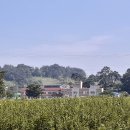 춘향골농협 대강지점 이미지