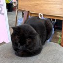 월드컵현대상가앞 이미지