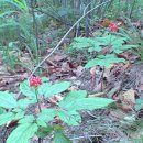 주몽농장 이미지