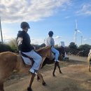 난지금2)) 제주신창~풍차마을에서ᆢ 이미지