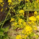 숲속나라어린이집 이미지