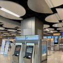 강정동-37 | 9/7 ~ 일상