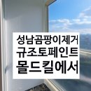 원천몰드 | 성남 베란다 곰팡이, 제거 끝! 친환경 규조토 페인트시공! 365일 뽀송하게(몰드킬 시공 후기)