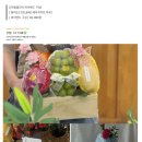 이레과일 | 부모님 첫인사 과일바구니 업체 3곳 비교 | 청담과, 더프레시달달, 이레푸룻