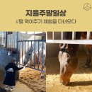 김해승마클럽 티스토리