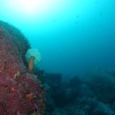 (주)파라다이스포인트 이미지