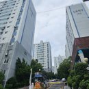 대신초등학교 | 신촌 럭키 아파트 정말 솔직한 임장 후기