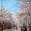 GS25 합정패밀리점 이미지