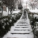 신암공원 이미지