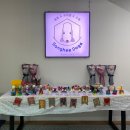 상희독스 아카데미 이미지