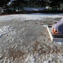 춘천평화의 소녀상 이미지