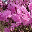 부천시 견인차량보관소 이미지