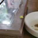 산새공원 입구 이미지