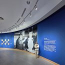 피카소 미술 | 의정부 전시회 피카소와 동시대화가｜의정부예술의전당 전시 후기