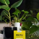 하나로카케어 이미지