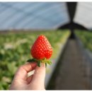 용범농장 이미지