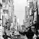 공존(共存) 이미지