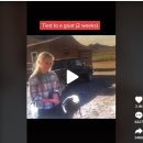 종일농장 이미지