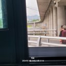 수영강 세월교 이미지