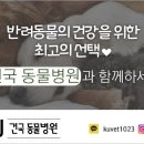 KU건국동물병원 이미지
