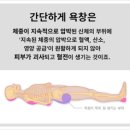 쾌세라 이미지