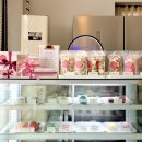 너에게 마카롱 운정점 | 운정/너에게마카롱] 파주 운정 마카롱 맛집 너에게...크래커까지 야무지게 먹은 수제 디저트 솔직 후기!