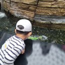 신애 어린이집 이미지