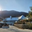 원유로커피스페셜티양산사송점 | [성림목장/사송] 건축미가 인상적이었던 산속 카페