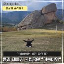 거북바위로 | 몽골 테를지국립공원 거북바위 보고 온 솔직 후기 독수리 체험도 했어요.
