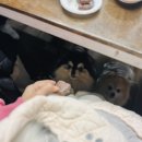 아리엘펜션 이미지