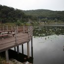 황방농원 캠핑장 이미지