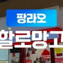 망고트래블