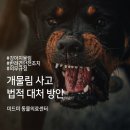 마리동물의료센터 이미지