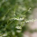 참어울림 이미지