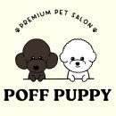 뽀프퍼피(POFF PUPPY) 이미지